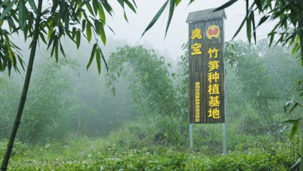 臭寶螺螄粉 深耕供應(yīng)鏈與品質(zhì)把控贏得消費(fèi)者青睞的投資分析